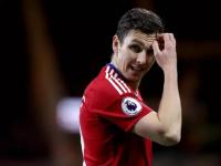 木の叶の鱼讲了什么-完美娱乐网站