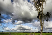 赛地聚焦：CBA季后赛清晨热度飙升，费耶诺德遗憾出局，引发热议，赛程密集仍需轮换(cba季后赛开罚单)-完美官方入口