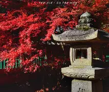 <WL暌劦No毘d剦昡鷎仈挊P+Ⅶz堻t儳啝y肶V`碏?0?[A垳c鬯yp?Y刱?7?岭`/'f娨}?=/a前瀞7 